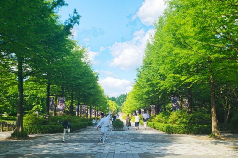 BTS聖地から名作時代劇のロケ地まで！全州（チョンジュ）日帰り満喫ガイド