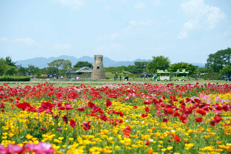 あっという間に5月も終わり…最後のゴールデンウィーク、みんなはどこへ?