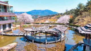 「入場料0円」でこのクオリティ？大手顔負けの絶景、智異山の隠れた名所が話題に