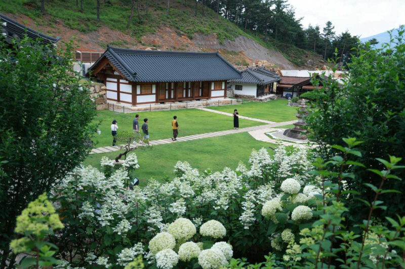 「入場料0円」でこのクオリティ？大手顔負けの絶景、智異山の隠れた名所が話題に
