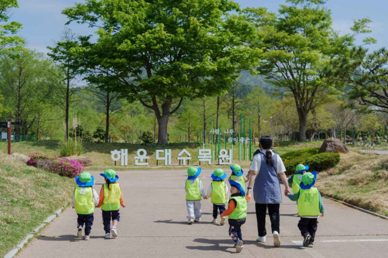 「第3の釜山市立樹木園」が無料開放！羊と触れ合える癒やしの散策スポットが話題