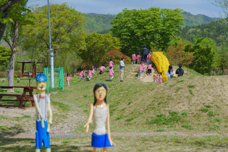 「第3の釜山市立樹木園」が無料開放！羊と触れ合える癒やしの散策スポットが話題