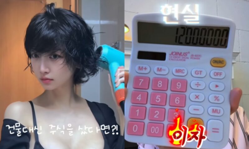 40億円の大家イ・ヘイン、1200万円の利息のせい？「サムスン電子・SKハイニックスを買えばよかった」