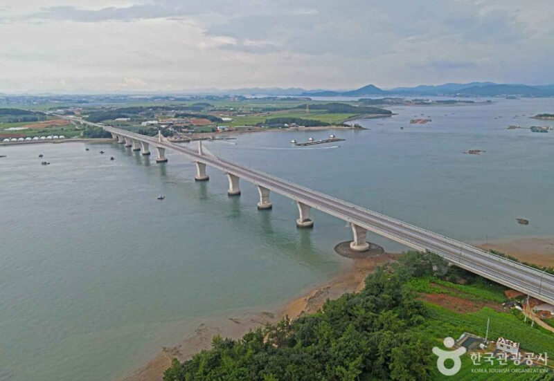 「韓国大統領の名を冠した大橋？」開通13年、全長925mの橋に注目集まる