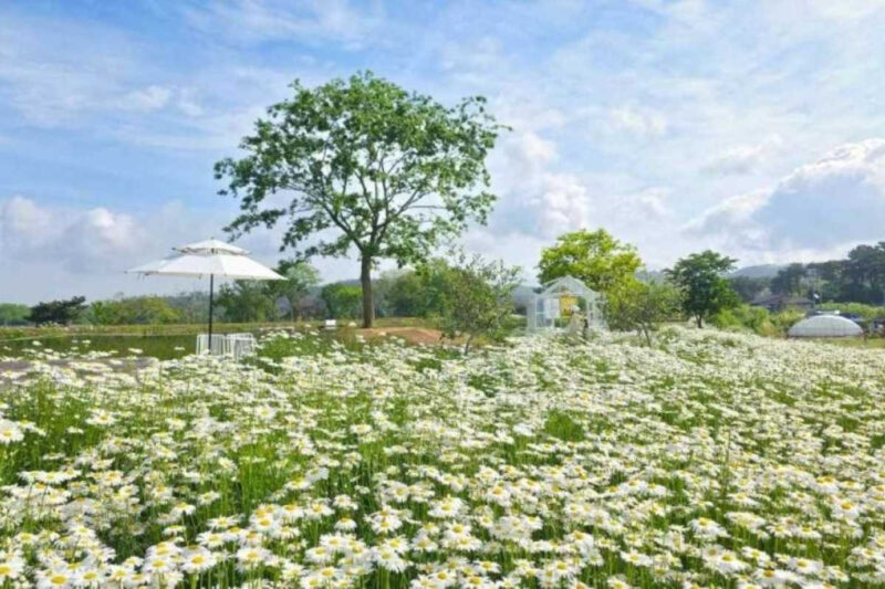 「ちょっとだけのつもりが2時間超え」居心地抜群の韓国エモカフェ