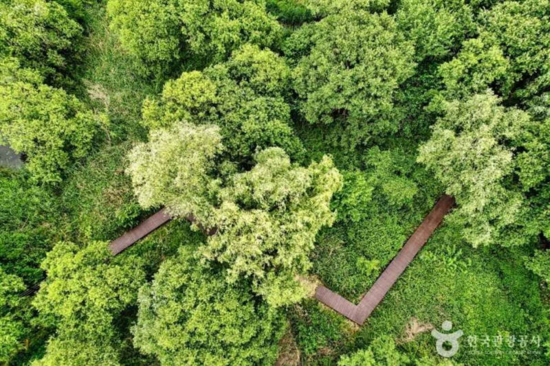 「ソウル近郊なのに穴場」南漢江のほとりで過ごす癒やしの旅先