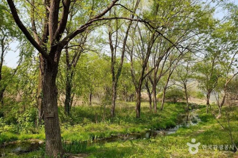 「ソウル近郊なのに穴場」南漢江のほとりで過ごす癒やしの旅先