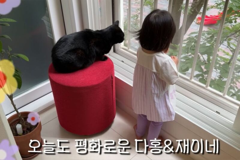 パク・スホン、愛猫冷遇疑惑を否定「今日も平和」と近況公開