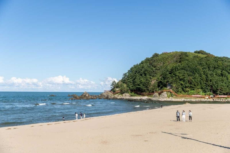 「ドライブも海水浴も！」30年不動の人気を誇る、最高の海辺の旅先とは？