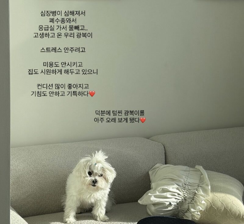 '박성광♥' 이솔이, 아들 광복 근황 보고 "심장병·폐수종으로 응급실行"