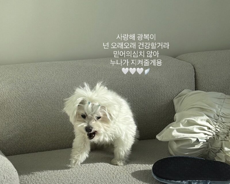 '박성광♥' 이솔이, 아들 광복 근황 보고 "심장병·폐수종으로 응급실行"