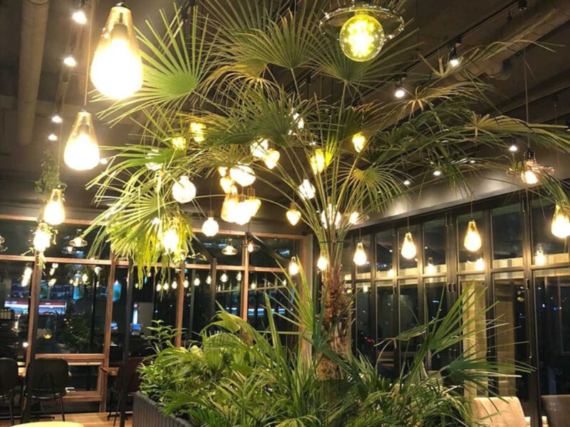 京畿道の夜景スポット！たった200円で楽しむ極上の夜散歩コース