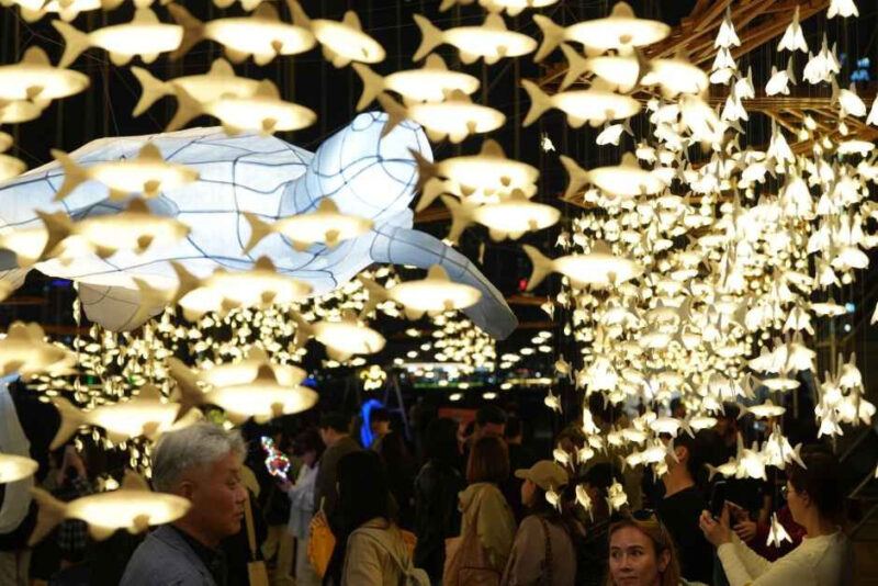 6月釜山旅行の必見スポット！6月12日開幕「漁坊祭り」