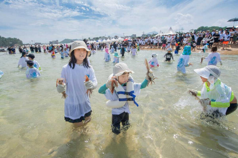 「484億ウォンの価値あり」海面631mを歩く絶景海上歩道橋が話題
