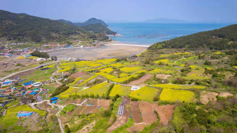 「ソウルにはない絶景」一度は歩きたい、全羅道の美しい島旅へ