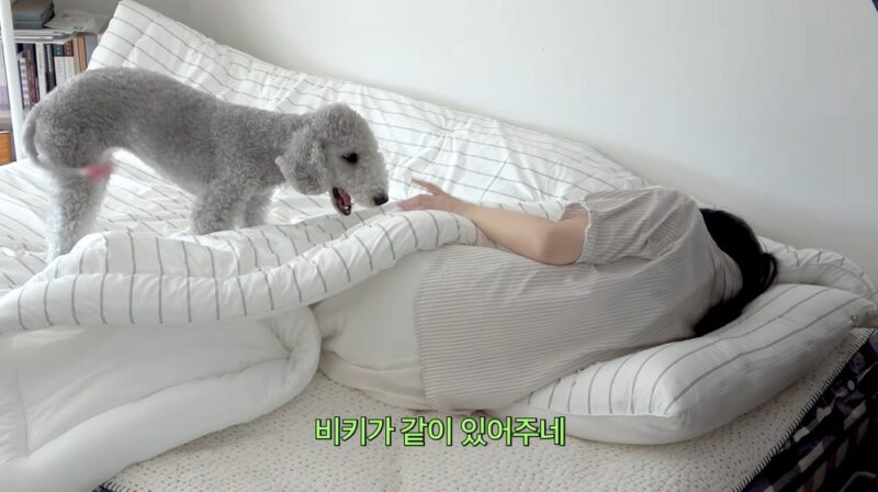 オム・ジウォン、倒れたスタッフを「犬用ベッド」に寝かせた?…「一部だけ強調された」と釈明