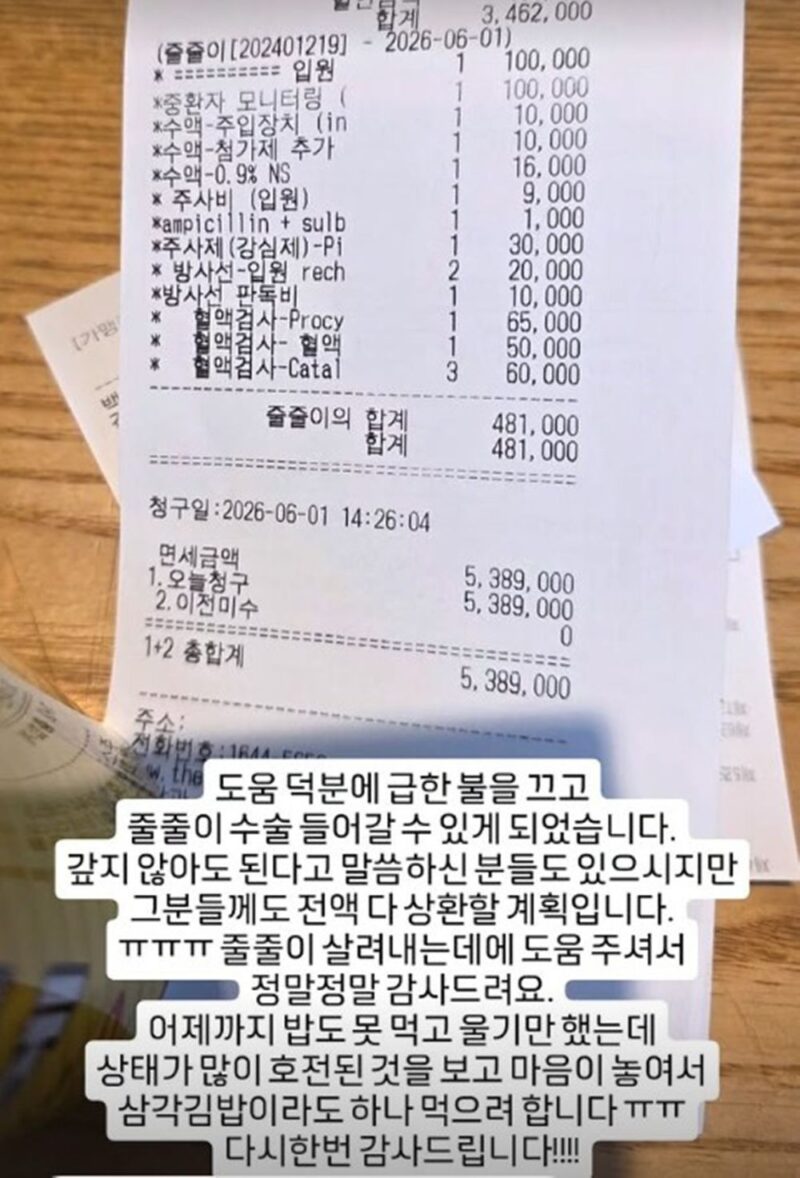 「高校ラッパー2」出身の女性ラッパー、1000万円の借入依頼…「猫を救うため、3ヶ月で返す」