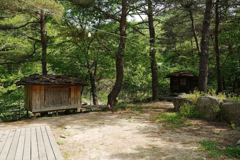 「木の上で就寝？」韓国消費者協会も認定した、渓谷キャンプの聖地が話題に