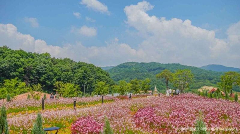 暑くても行きたい！6月に絶対おすすめの国内旅行先6選