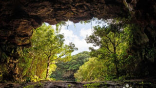 「こんな場所が？」済州島の茶畑で発見された、韓国最高峰の溶岩洞窟が凄すぎる