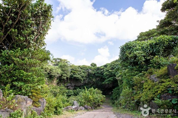 「こんな場所が?」済州島の茶畑で発見された、韓国最高峰の溶岩洞窟が凄すぎる