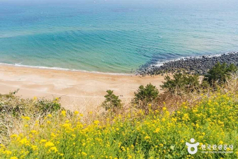 1999年から変わらぬ絶景、済州島で絶対行くべき「聖地ベンチ」の旅