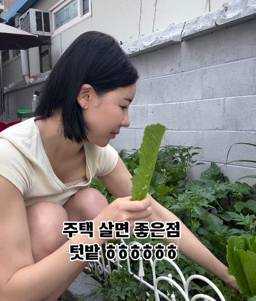 ハミングベリー・ユン・ソハ、自給自足の菜園を公開…「サンチュ食べ放題」の田舎暮らしが話題