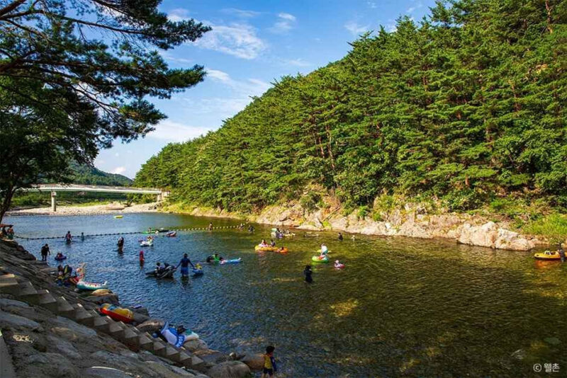 「もう襄陽（ヤンヤン）じゃない？」キャンプに渓谷、イカダまで！今、韓国で話題の穴場避暑地とは