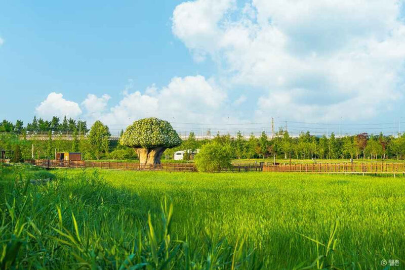 「韓国初の豆の産地」身分証なしでは入れない？謎に包まれた坡州の村の正体