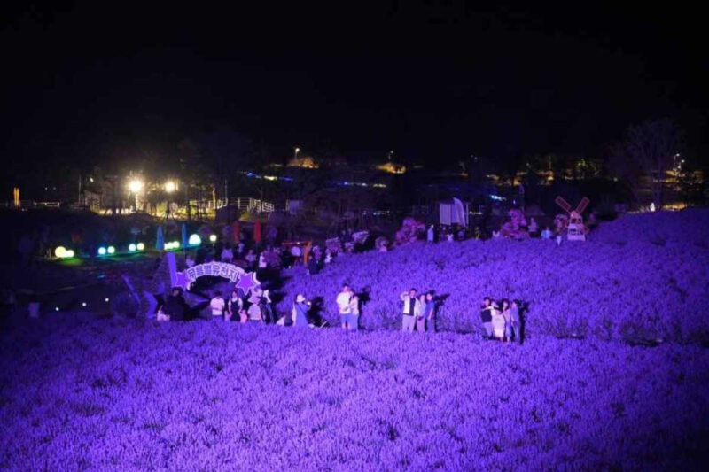 6月はイベント盛りだくさん！初夏に楽しむ韓国のおすすめ旅行先4選