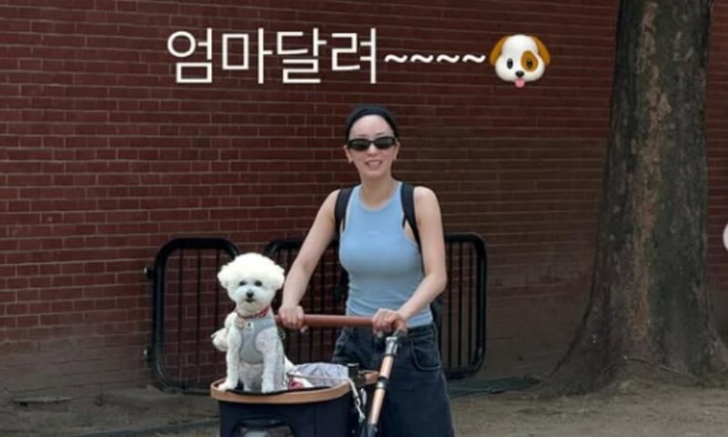 「ラド♥」ユンボミ、結婚後も愛犬と幸せな近況…「私が愛する時間」