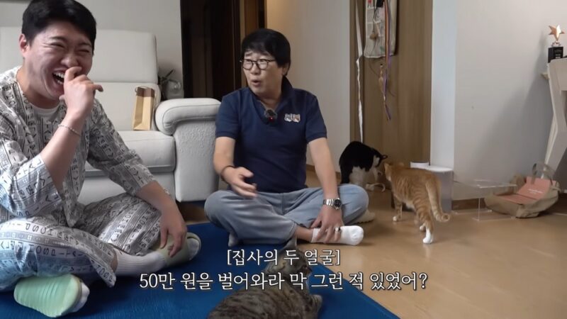 최양락妻・ペン・ヒョンスク、猫YouTuberソン・ハビンに辛口「動物を利用して金儲け」
