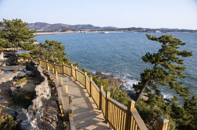 「世界でここだけなんて信じられない」絶景の2km回廊と夕陽に感動の声