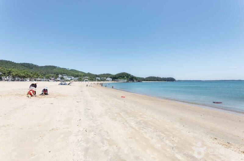 「水温が高く開設期間が異例の長さ」西海岸の海水浴場とは?