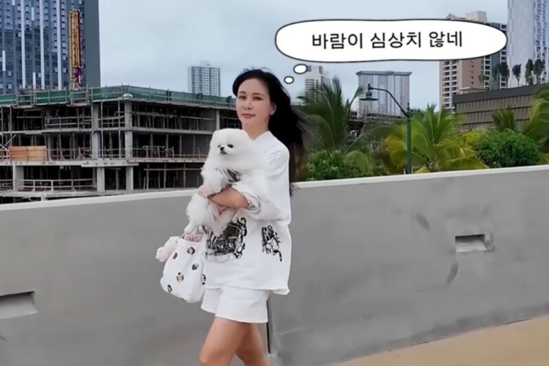 장동건妻・고소영、年齢には抗えず…タトゥー風老眼鏡を新調「夫が買った」