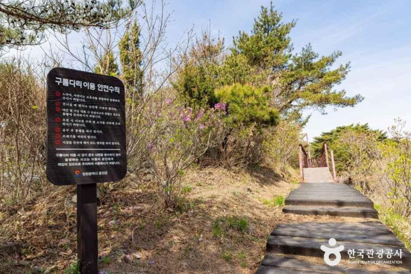 「空の橋」より高い？仁川に隠された絶景の穴場スポット