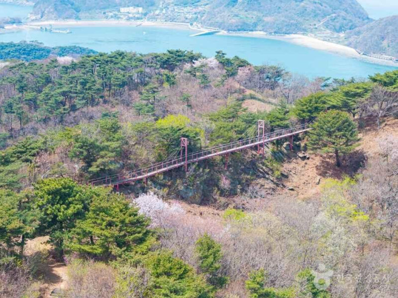 「空の橋」より高い？仁川に隠された絶景の穴場スポット