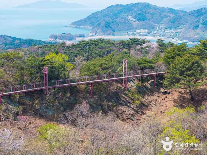 「空の橋」より高い？仁川に隠された絶景の穴場スポット
