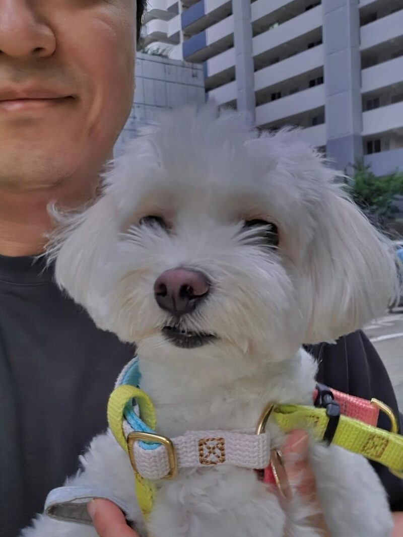 「愛を分かち合うつもりはない」…パク・ジユンと離婚のチェ・ドンソク、愛犬の飼育放棄を決断