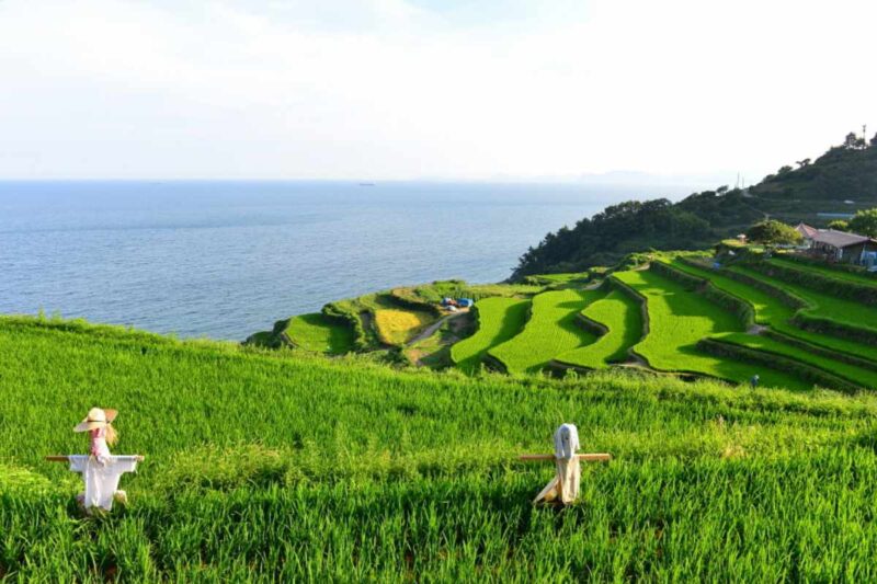「まるで海外」韓国にいながら非日常を味わえる！1泊2日のおすすめ旅行先
