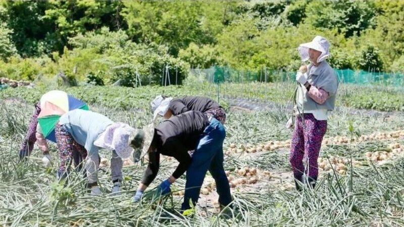 임영웅, 데뷔 10년 차 진심 고백…"계속 고민하고 있는 것 같아" ('산골 총각')