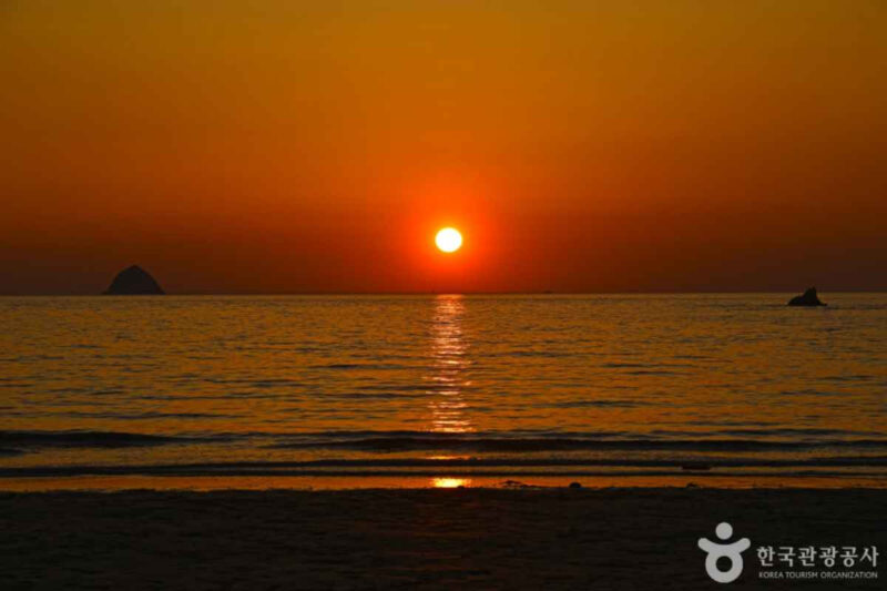 「潮が満ちれば陸の孤島に」1日2回だけ道が現れる、韓国・西海の神秘的な島