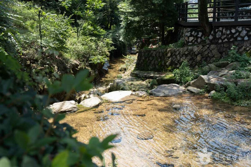「ぼったくり無縁」木陰で鶏粥を堪能！ソウル日帰り癒やし旅のススメ