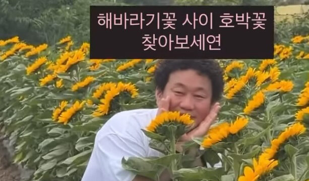カリナム、ひまわり畑で満喫！「かぼちゃの花を探して」ユーモアあふれるテロップに爆笑の声