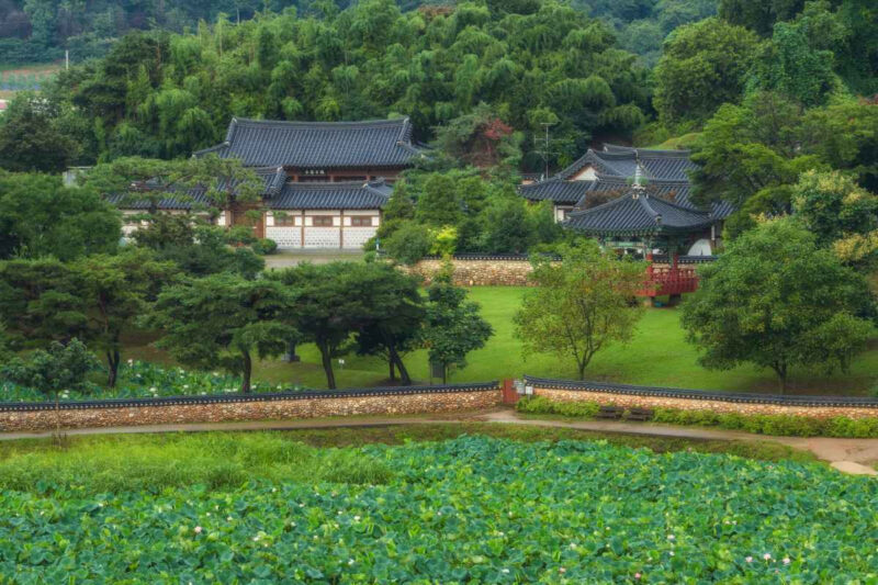 「強烈な日差しと蝉時雨がこんなに心地いいなんて」夏限定の日帰り絶景スポット