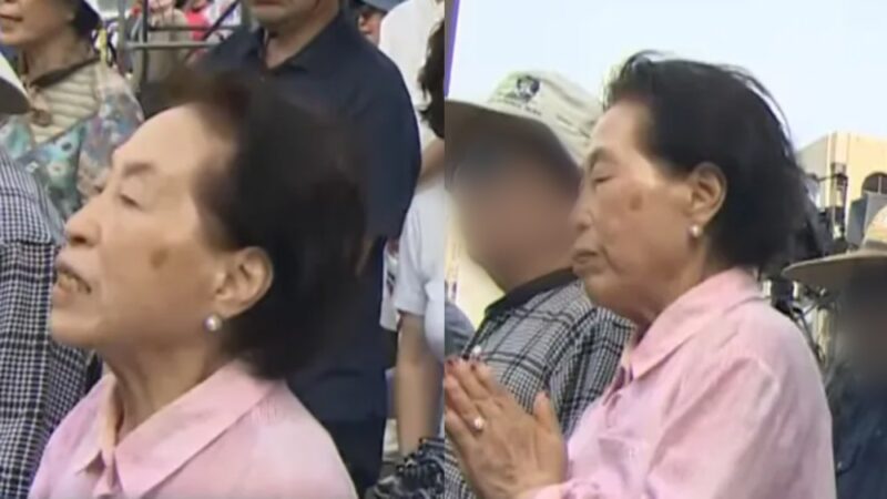 정청래와 손잡았던 전원주, 이번엔 '전한길 집회'서 포착…두 달 만에 대조적인 행보