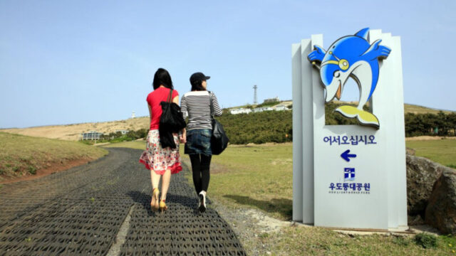 「レンタカー不可？」牛島（ウド）旅行前に知っておくべき、意外な車両持ち込みルール