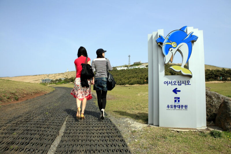 「レンタカー不可？」牛島（ウド）旅行前に知っておくべき、意外な車両持ち込みルール