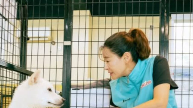 イェ・ジウォン、保護犬と過ごした特別な一日…心温まる善行に称賛の声