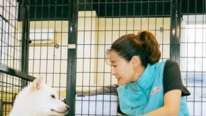 イェ・ジウォン、保護犬と過ごした特別な一日…心温まる善行に称賛の声